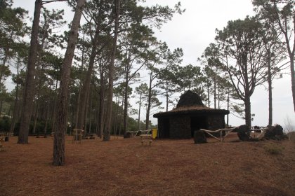 Parque Florestal de São João