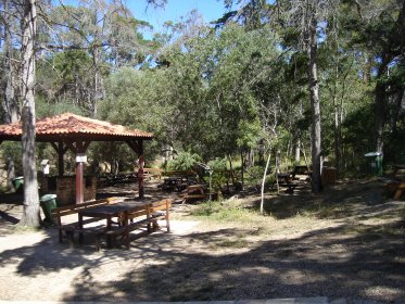 Parque de Merendas do Perímetro Florestal de Barão de São João