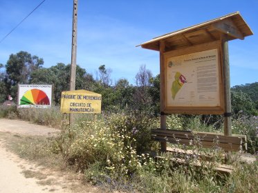 Perímetro Florestal de Barão de São João
