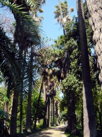 Jardim Botânico de Lisboa
