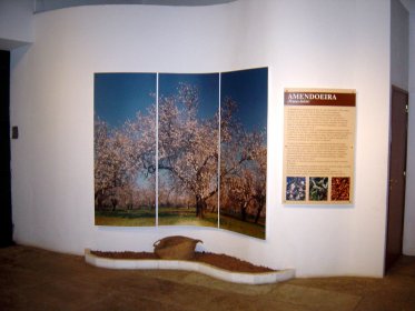Pólo Museológico dos Frutos Secos