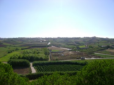 Miradouro da Igreja do Castelo