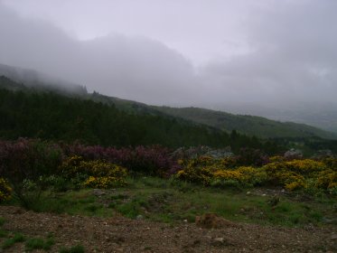 Serra de Bornes