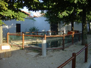 Parque Novo Rumo