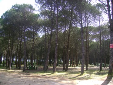 Parque de Merendas Portela