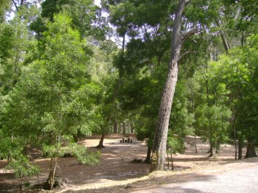 Parque de Merendas de São Pedro de Moel