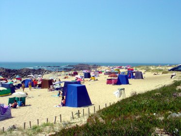Praia da Agudela - Pampelido