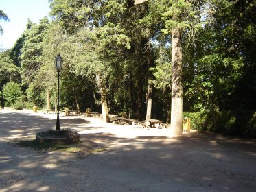 Parque de Merendas da Mata do Buçaco