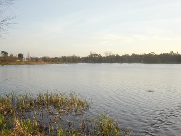 Lagoa de Mira