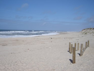 Praia do Poço da Cruz