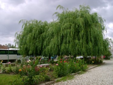 Jardim de Romeu