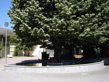 Jardim da Praça Comandante José Requeijo