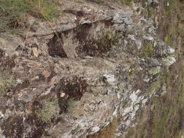 Sepultura Antropomórfica de Monte das Cotas