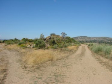 Sepultura Antropomórfica de Monte das Cotas