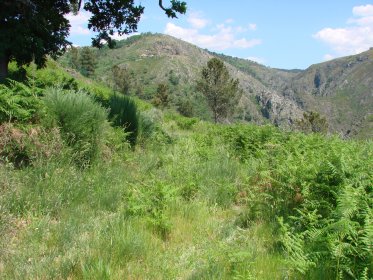 Povoado de Monte de São João