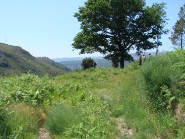 Povoado de Monte de São João