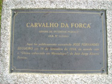 Carvalho da Forca