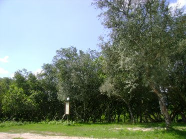 Parque de Merendas de São Lourenço