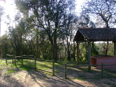Parque de Merendas Fonte do Pinheiro