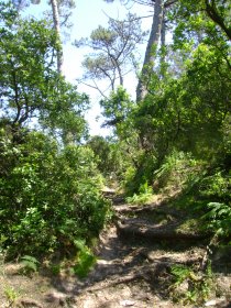 Percurso Pedestre do Monte de São Brás (PR1)