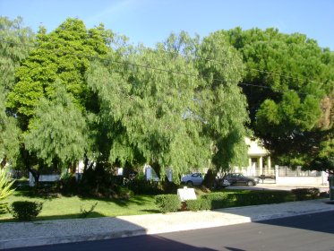 Jardim Higino César de Campos