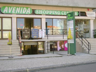 Avenida Shopping Center