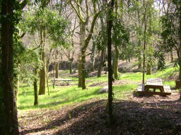 Parque de Merendas Centeeira