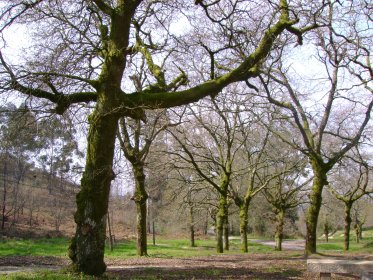 Parque de Merendas de Nossa Senhora da Purificação