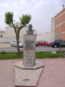 Busto de Doutor Manuel Sousa Pedrosa