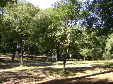 Parque de Merendas de Santo António das Pinheiras