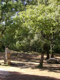 Parque de Merendas de Santo António das Pinheiras