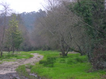 Parque de Merendas da Ecovia