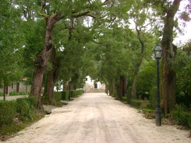 Jardins do Paço de Calheiros