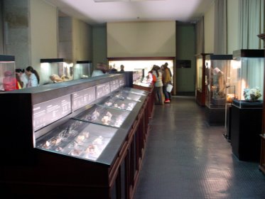 Museu de História Natural e da Ciência da Universidade do Porto