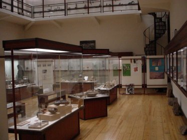 Museu de História Natural e da Ciência da Universidade do Porto