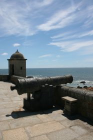 Forte de São Francisco Xavier / Castelo do Queijo