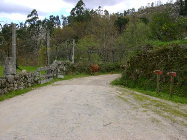 Percurso Pedestre do Monte do Merouço (PR2)