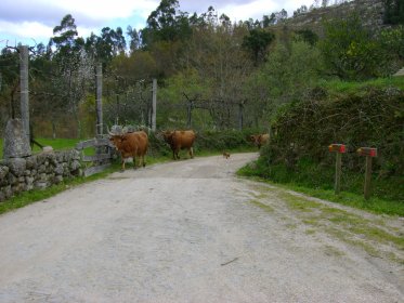 Percurso Pedestre do Ribeiro Queimado (PR3)