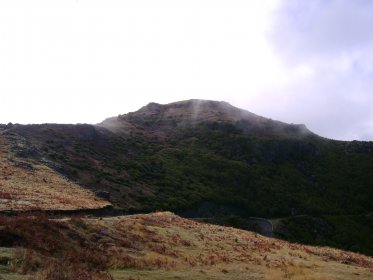 Percurso Pedestre da Vereda do Pico Ruivo (PR1.2)