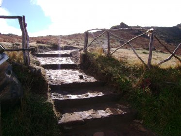 Percurso Pedestre da Vereda do Pico Ruivo (PR1.2)