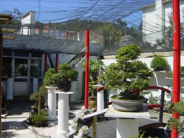 Museu do Bonsai