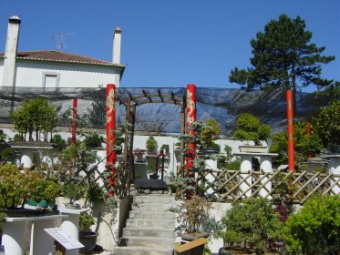 Museu do Bonsai