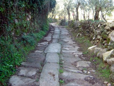 Troço de Calçada Romana de Fial
