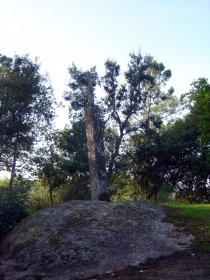 Cruzeiro de Parada de Gonta