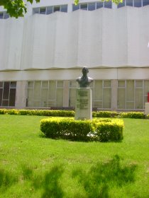 Busto de Luís António Maldonado Rodrigues