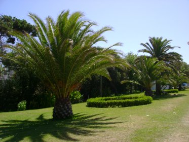 Parque Municipal de Santa Cruz