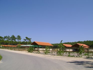 Centro Hípico da Escola Profissional de Agricultura e Desenvolvimento Rural de Vagos