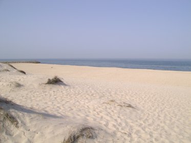 Praia do Areão