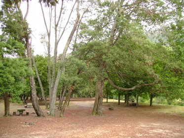 Parque de Merendas da Serra D'Arga