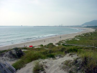 Praia do Rodanho - Praia Dourada